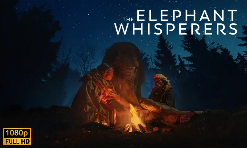 The Elephant Whisperers